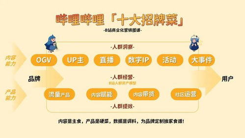 嗶哩嗶哩（B站）食品飲料行業廣告投放與營銷推廣策略深度分析及代理合作前景